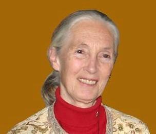 Jane Goodall