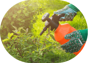 Fertilization and pest control